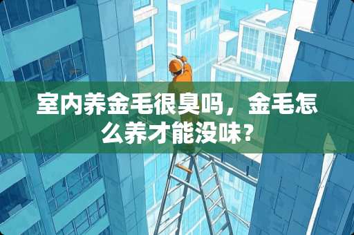 室内养金毛很臭吗，金毛怎么养才能没味？