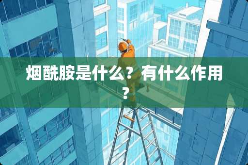 烟酰胺是什么？有什么作用？