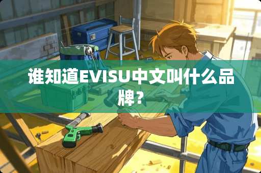 谁知道EVISU中文叫什么品牌？