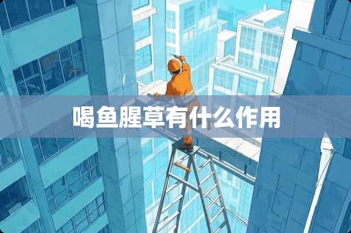 喝鱼腥草有什么作用