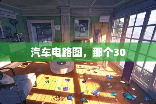汽车电路图，那个30
