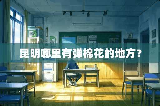 昆明哪里有弹棉花的地方？