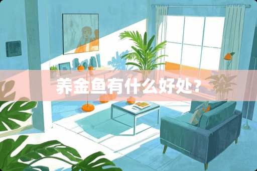 养金鱼有什么好处？
