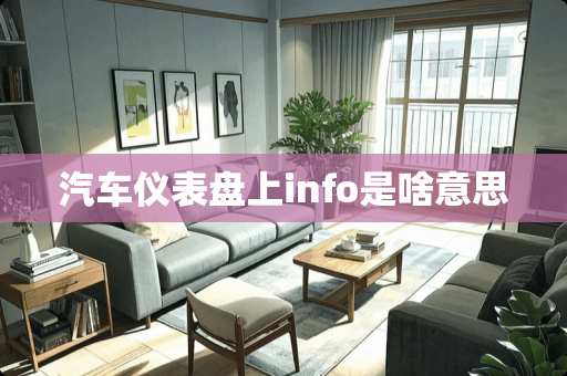 汽车仪表盘上info是啥意思