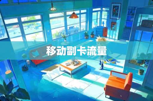 移动副卡流量