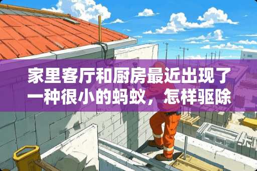 家里客厅和厨房最近出现了一种很小的蚂蚁，怎样驱除？