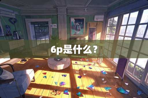 6p是什么？