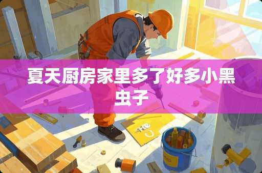 夏天厨房家里多了好多小黑虫子