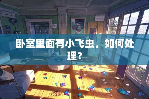 卧室里面有小飞虫，如何处理？