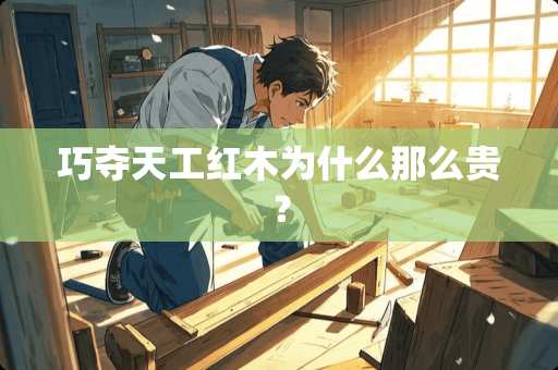 巧夺天工红木为什么那么贵？
