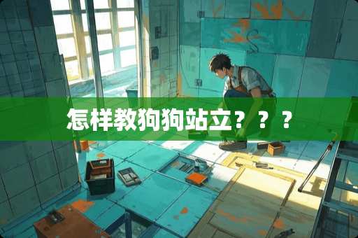怎样教狗狗站立？？？