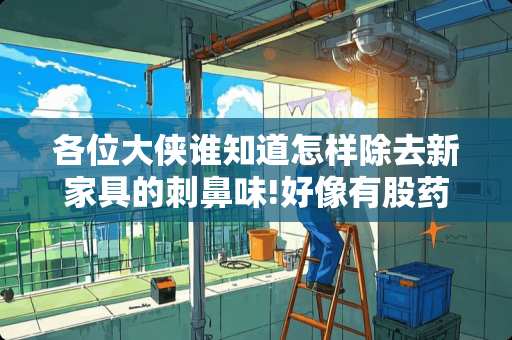 各位大侠谁知道怎样除去新家具的刺鼻味!好像有股药味，呛得眼流泪!~？