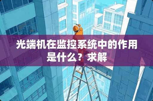 ***在监控系统中的作用是什么？求解