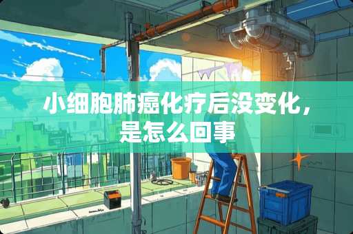 小细胞肺癌化疗后没变化，是怎么回事