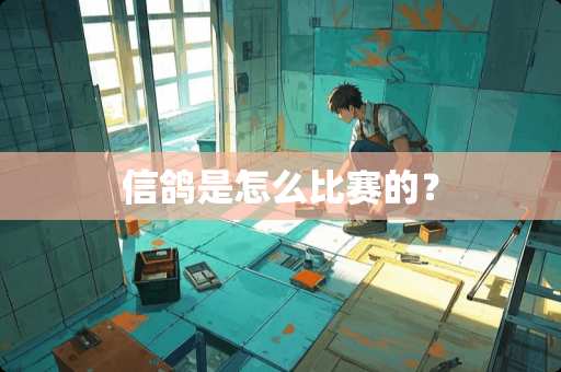 信鸽是怎么比赛的？