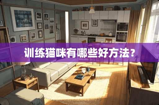 训练猫咪有哪些好方法？