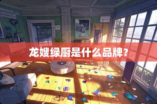 龙嫂绿厨是什么品牌？