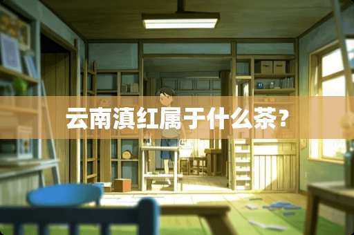 云南滇红属于什么茶？