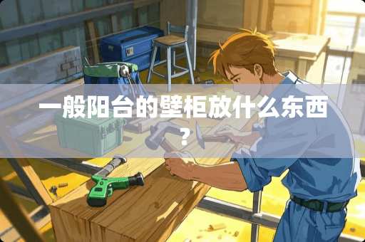 一般阳台的壁柜放什么东西？