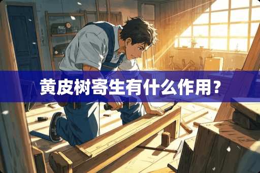 黄皮树寄生有什么作用？