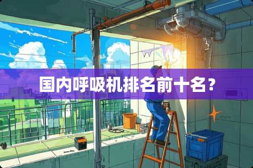 国内呼吸机排名前十名？