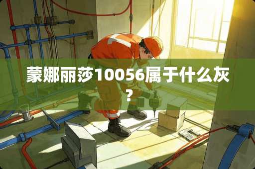 蒙娜丽莎10056属于什么灰？