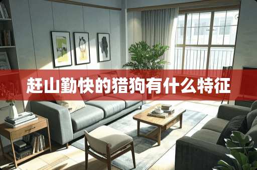 赶山勤快的猎狗有什么特征