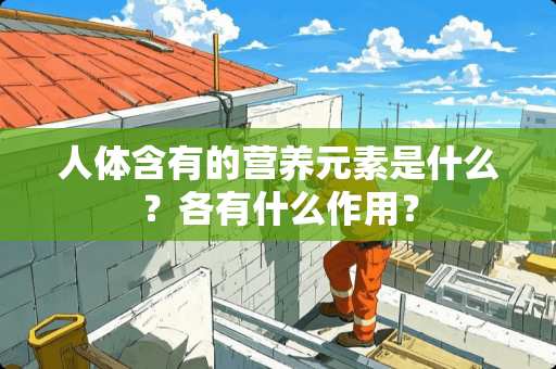 人体含有的营养元素是什么？各有什么作用？