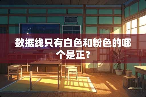 数据线只有白色和粉色的哪个是正？