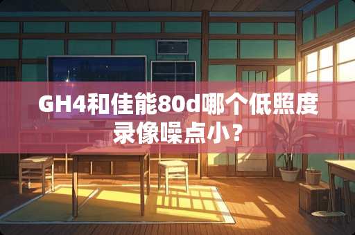 GH4和佳能80d哪个低照度录像噪点小？