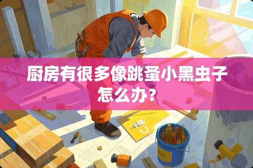 厨房有很多像跳蚤小黑虫子怎么办？