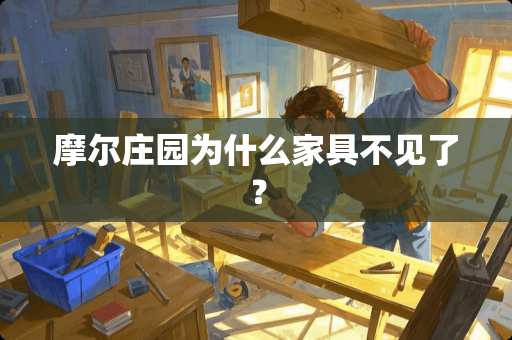 摩尔庄园为什么家具不见了？