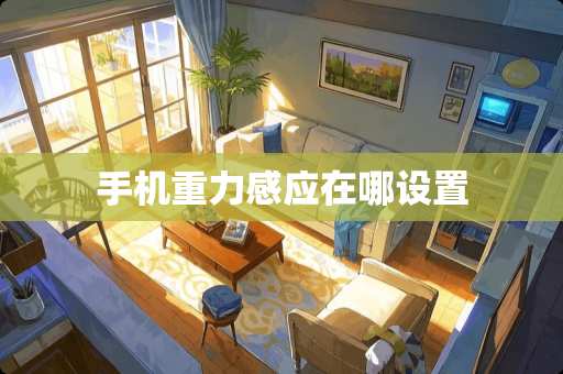 手机重力感应在哪设置
