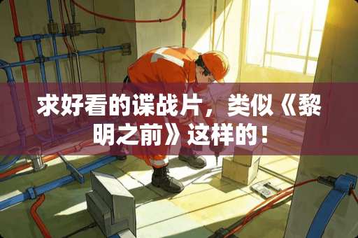 求好看的谍战片，类似《黎明之前》这样的！