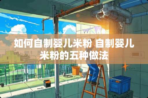 如何自制婴儿米粉 自制婴儿米粉的五种做法