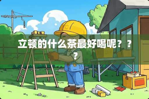 立顿的什么茶最好喝呢？？？