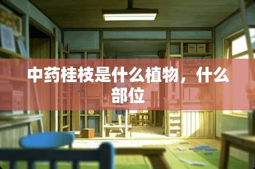 中药桂枝是什么植物，什么部位