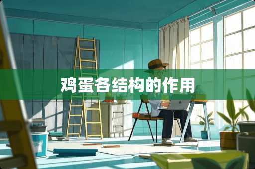鸡蛋各结构的作用