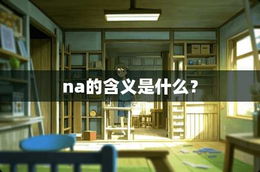 na的含义是什么？