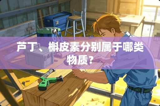 芦丁、槲皮素分别属于哪类物质？