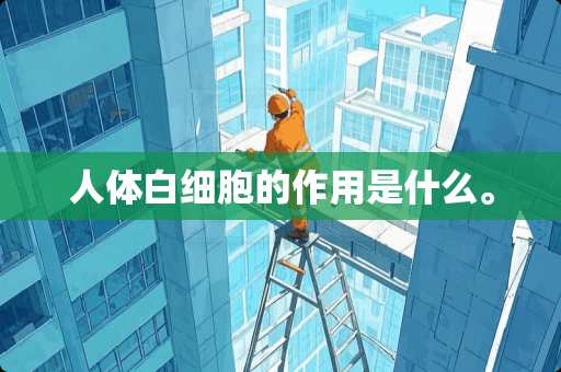 人体白细胞的作用是什么。