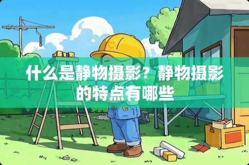 什么是静物摄影？静物摄影的特点有哪些