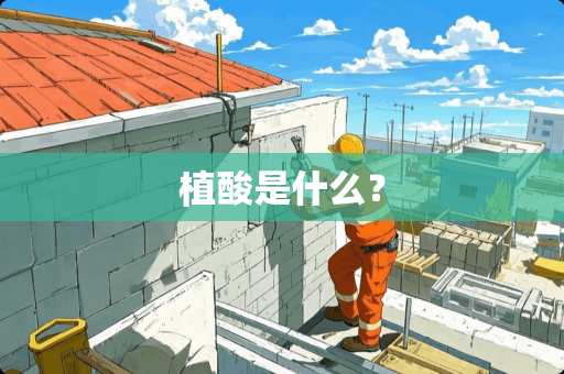 植酸是什么？