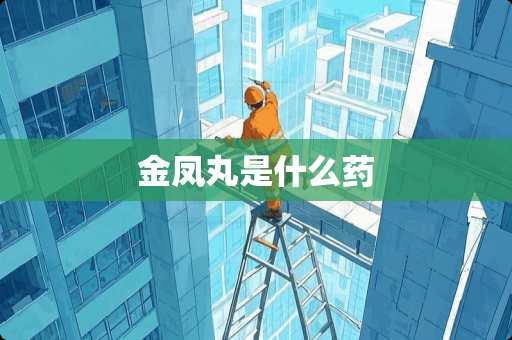 金凤丸是什么药