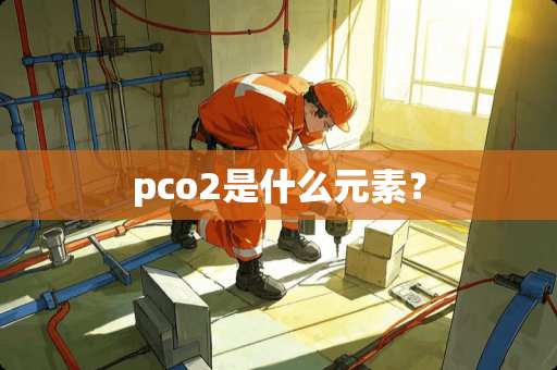 pco2是什么元素？