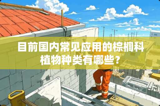 目前国内常见应用的棕榈科植物种类有哪些？