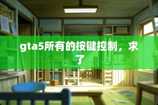 gta5所有的按键控制，求了