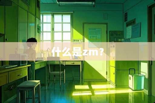 什么是zm？