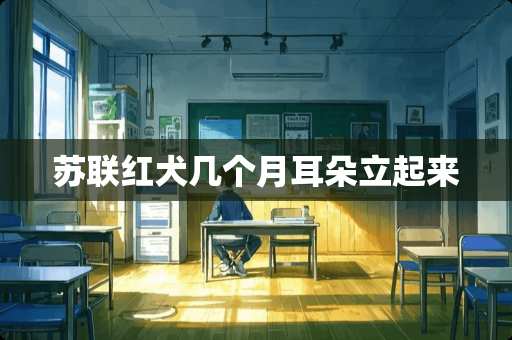 苏联红犬几个月耳朵立起来