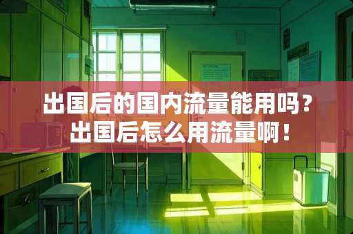 出国后的国内流量能用吗? 出国后怎么用流量啊! 出国后的国内流量能用吗? 出国后怎么用流量啊!